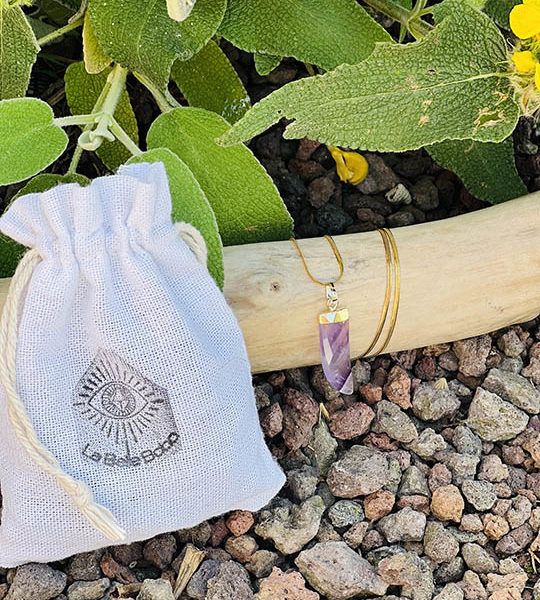 Collier corne améthyste acier doré inoxydable la belle bobo