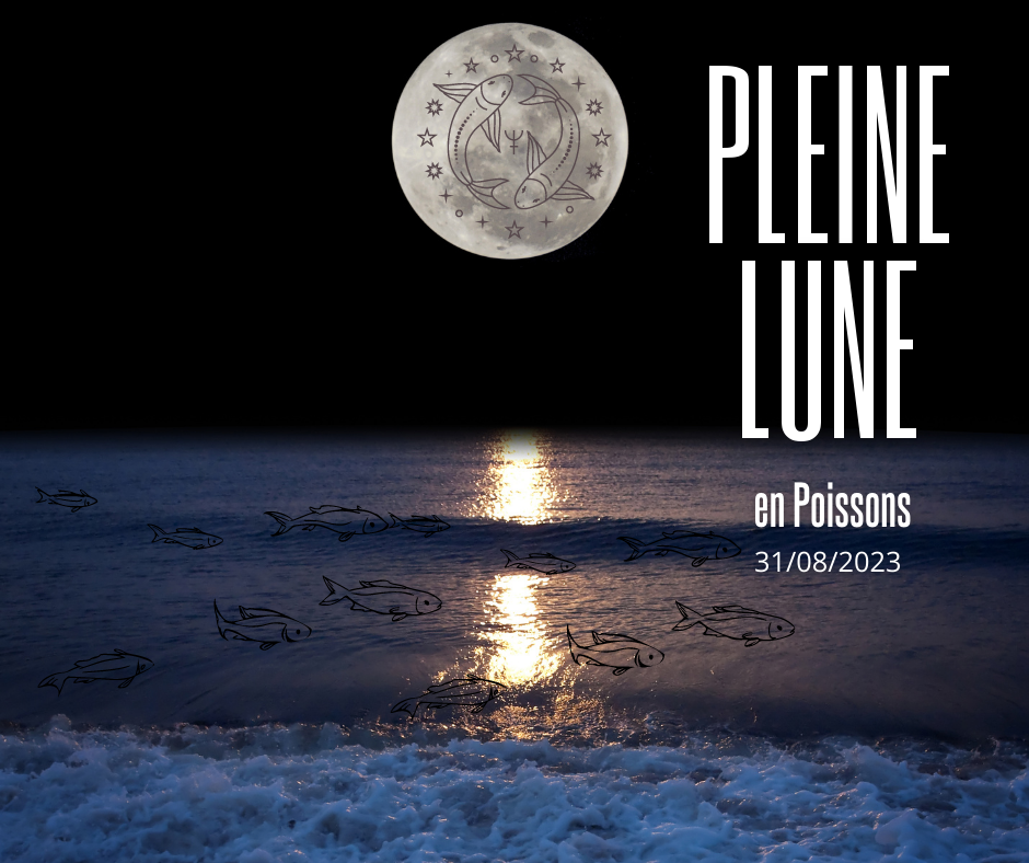 Pleine lune en poissons du 31 Août La Belle Bobo